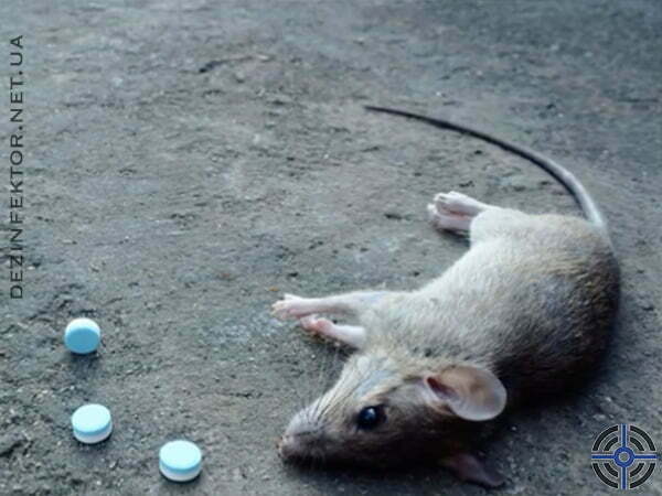 Уничтожение крыс (Украина)