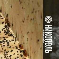 Уничтожение Клопов в Никополе