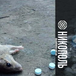 Уничтожение Мышей и Крыс в Никополе