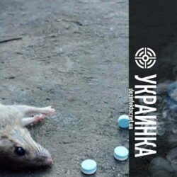 Уничтожение Мышей и Крыс в Украинке