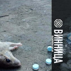 Уничтожение Мышей и Крыс в Виннице