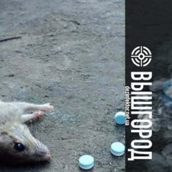 Уничтожение Мышей и Крыс в Вышгороде