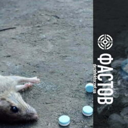 Уничтожение Мышей и Крыс в Фастове