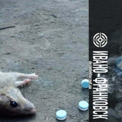 Уничтожение Мышей и Крыс в Ивано-Франковске