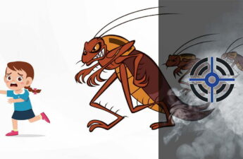 ВРЕД ОТ ТАРАКАНОВ для здоровья человека