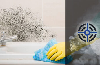 Як Самостійно Позбутися Плісняви?