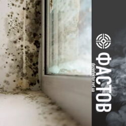 Удаление Плесени и Грибка в Фастове