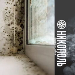 Удаление Плесени и Грибка в Никополе